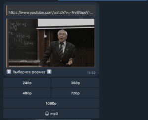 получение видеофайла для скачивания через youtube-skachat.ru